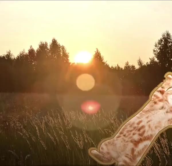 @Эмилька🍰🌸
