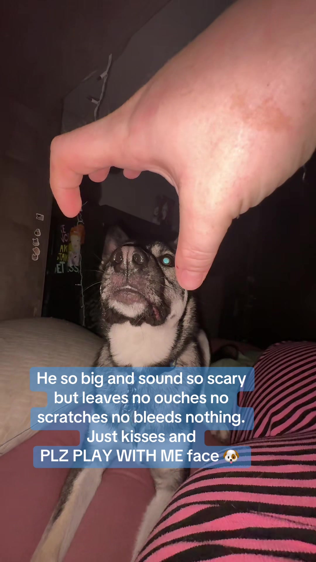 @CainusCreepus
