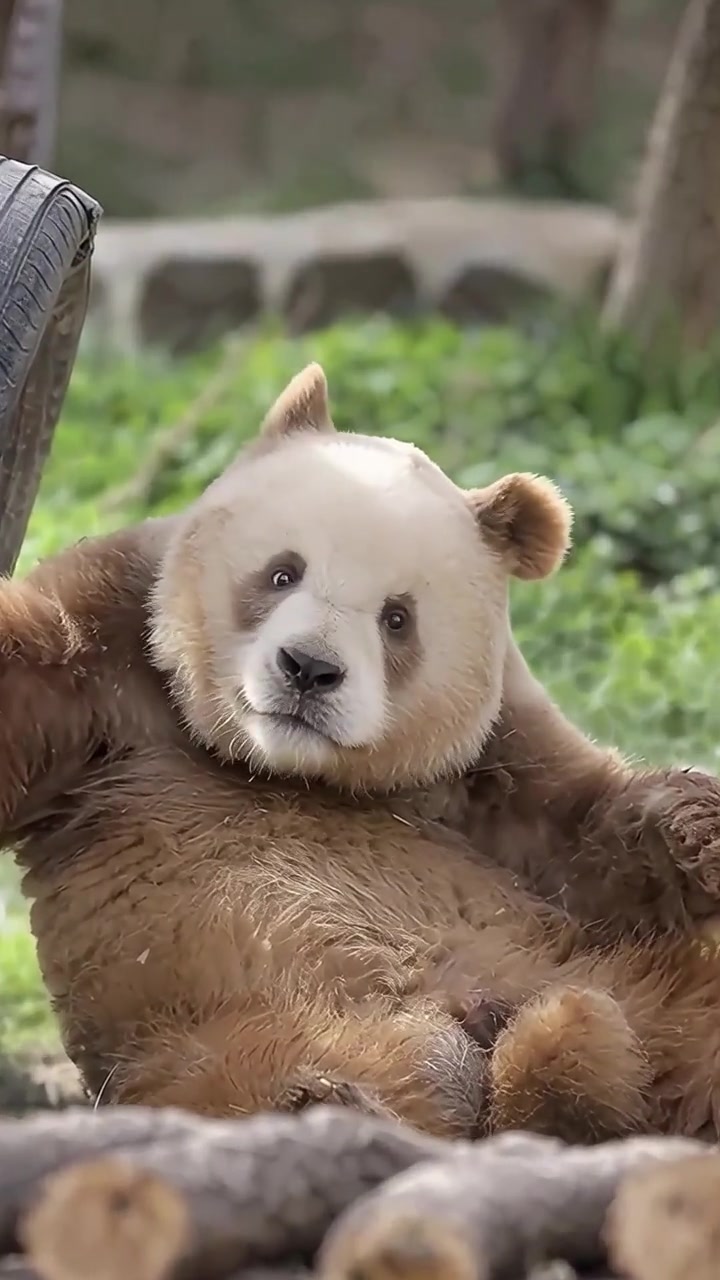 @ショウキンキ
