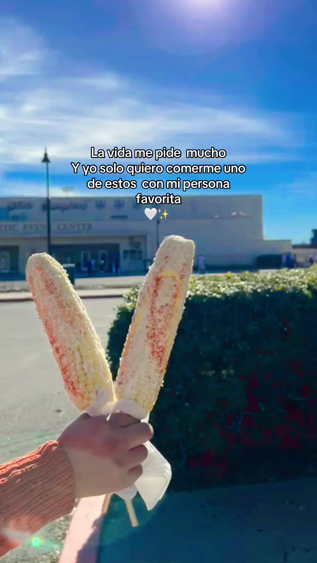 @Mina 🦋