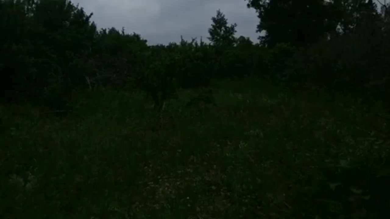 @каринааа