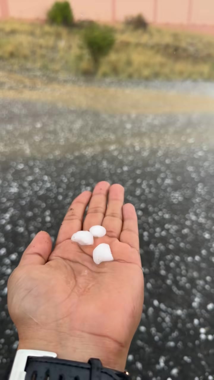 @آبووسآم برق آلَساحل⚡️⛈️