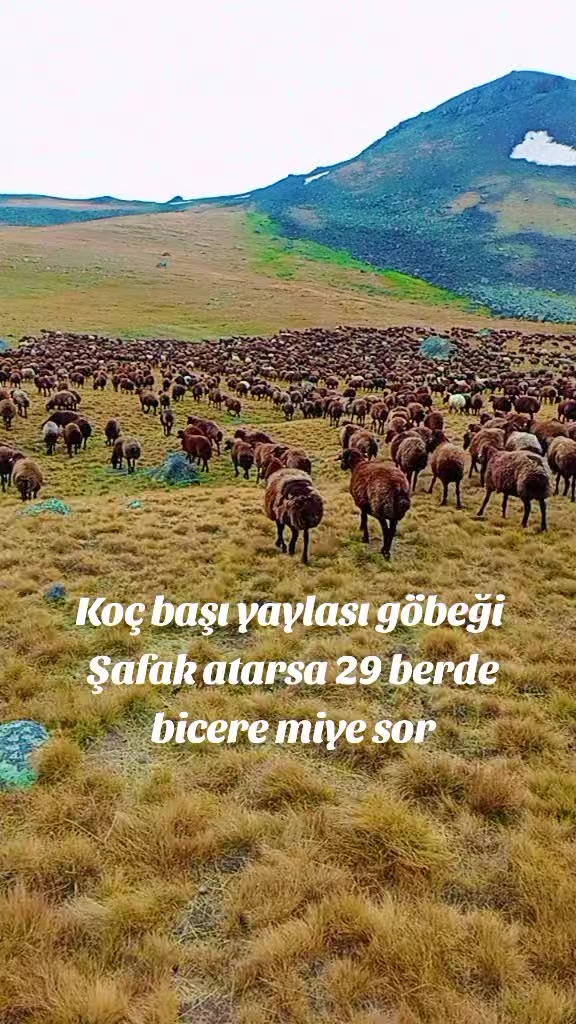 @🦅Koçero 🦅7676