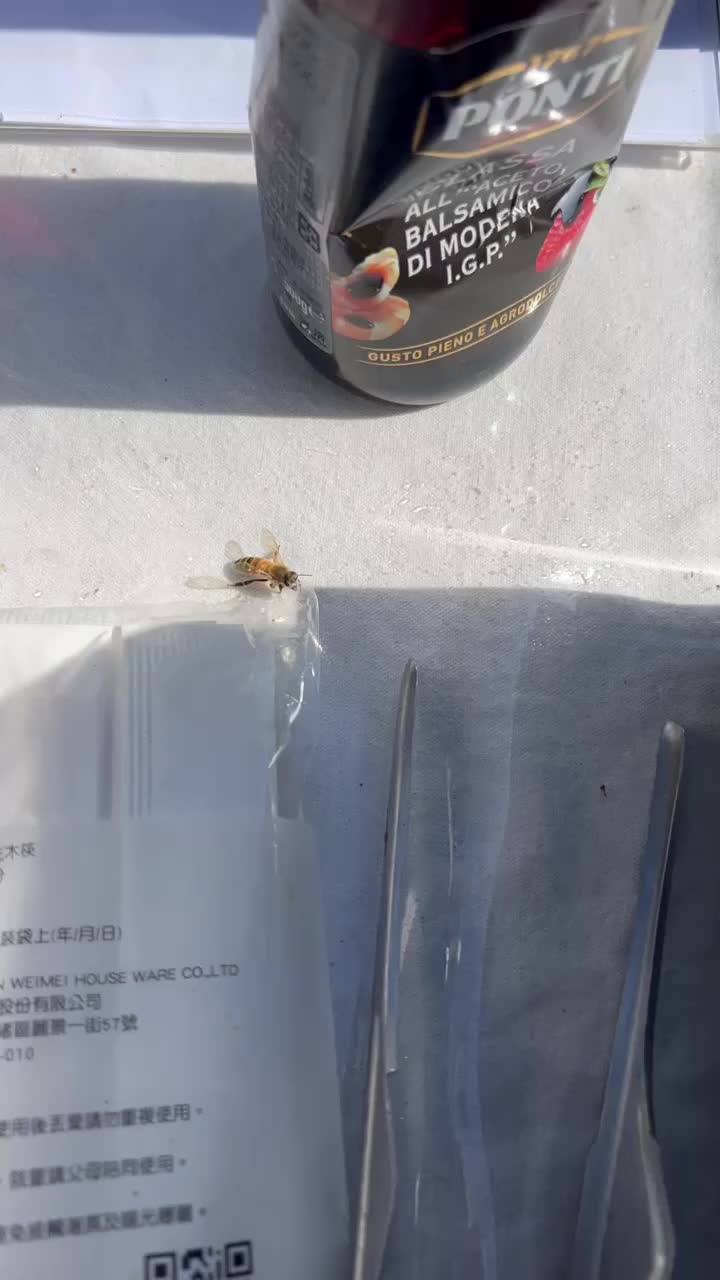@咖哩燁