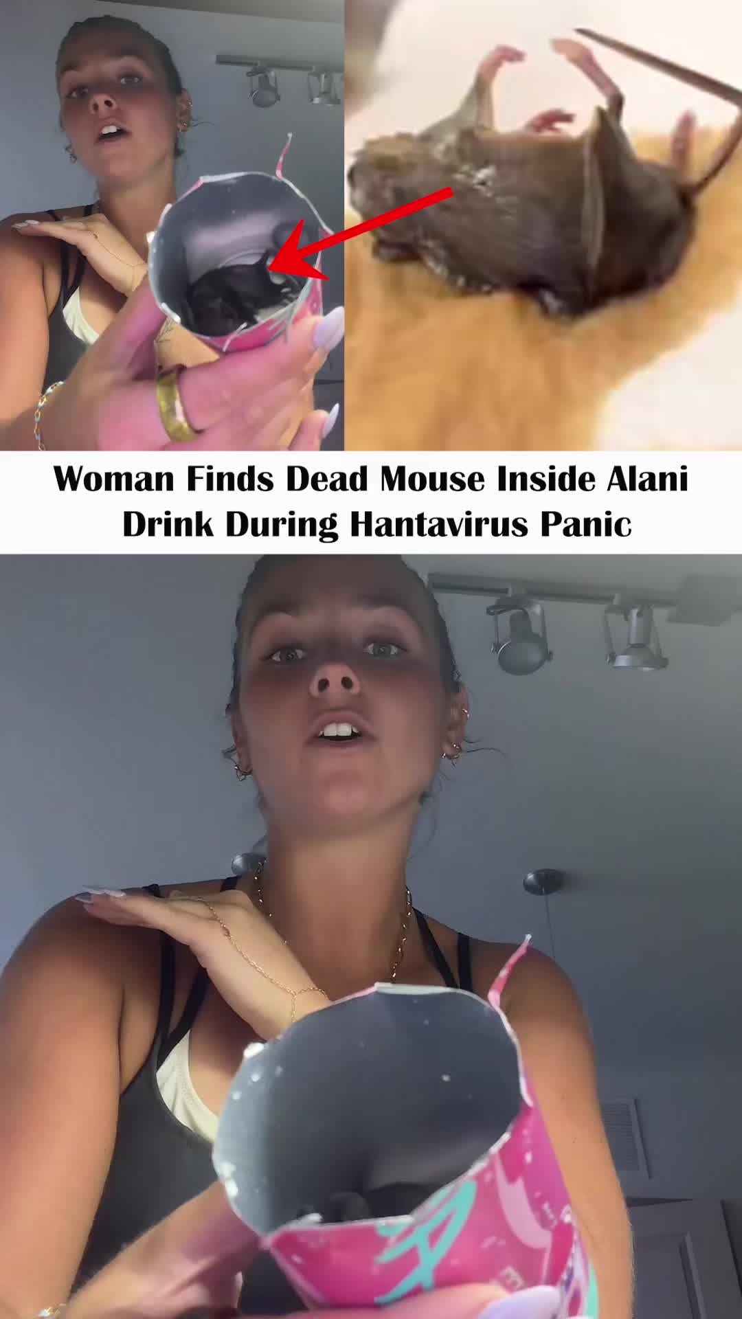 @Nnnewss