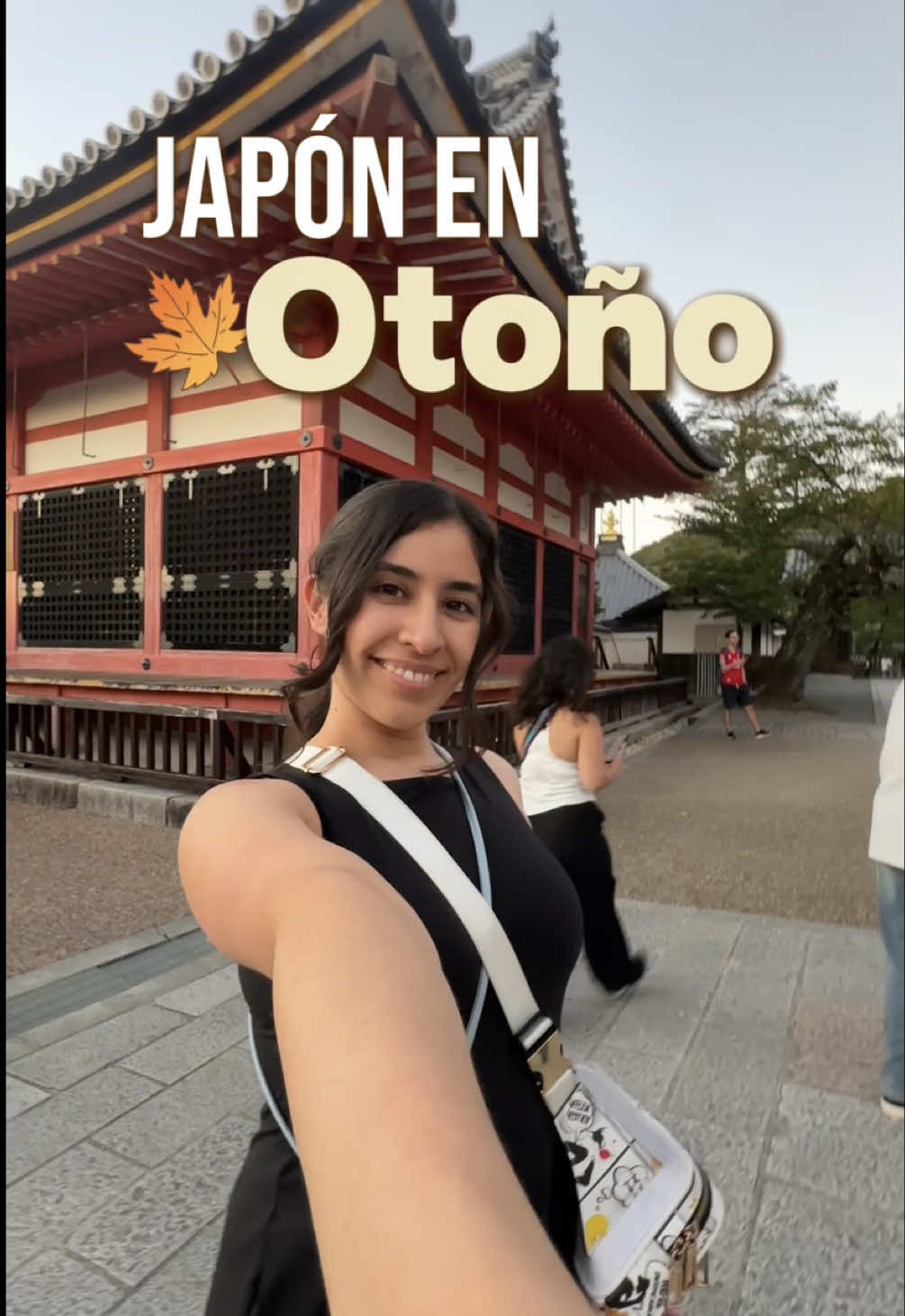 @Dianilis