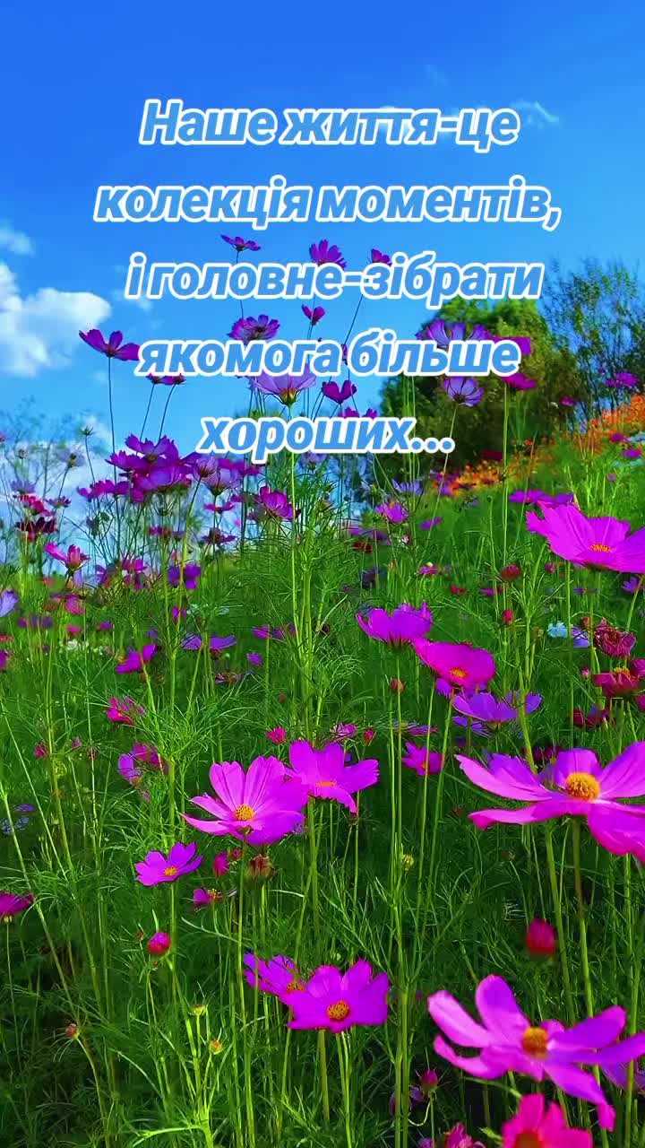 @NATALIIA MAKARCHUK