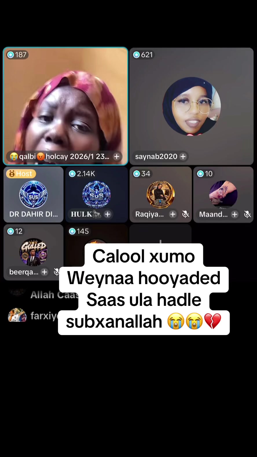 @Halaag girl 🦂📺
