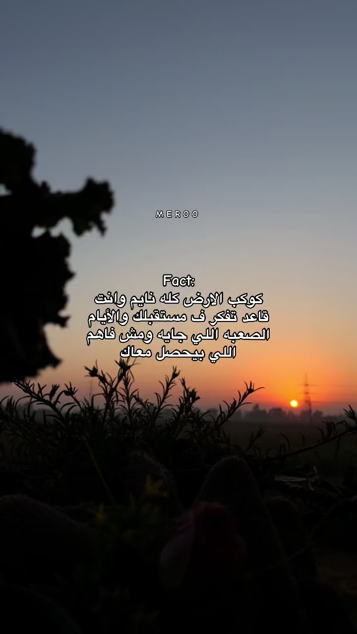 @༒آمِــيـــّر _𓆩ᗩᗰIᖇ𓆪🤎
