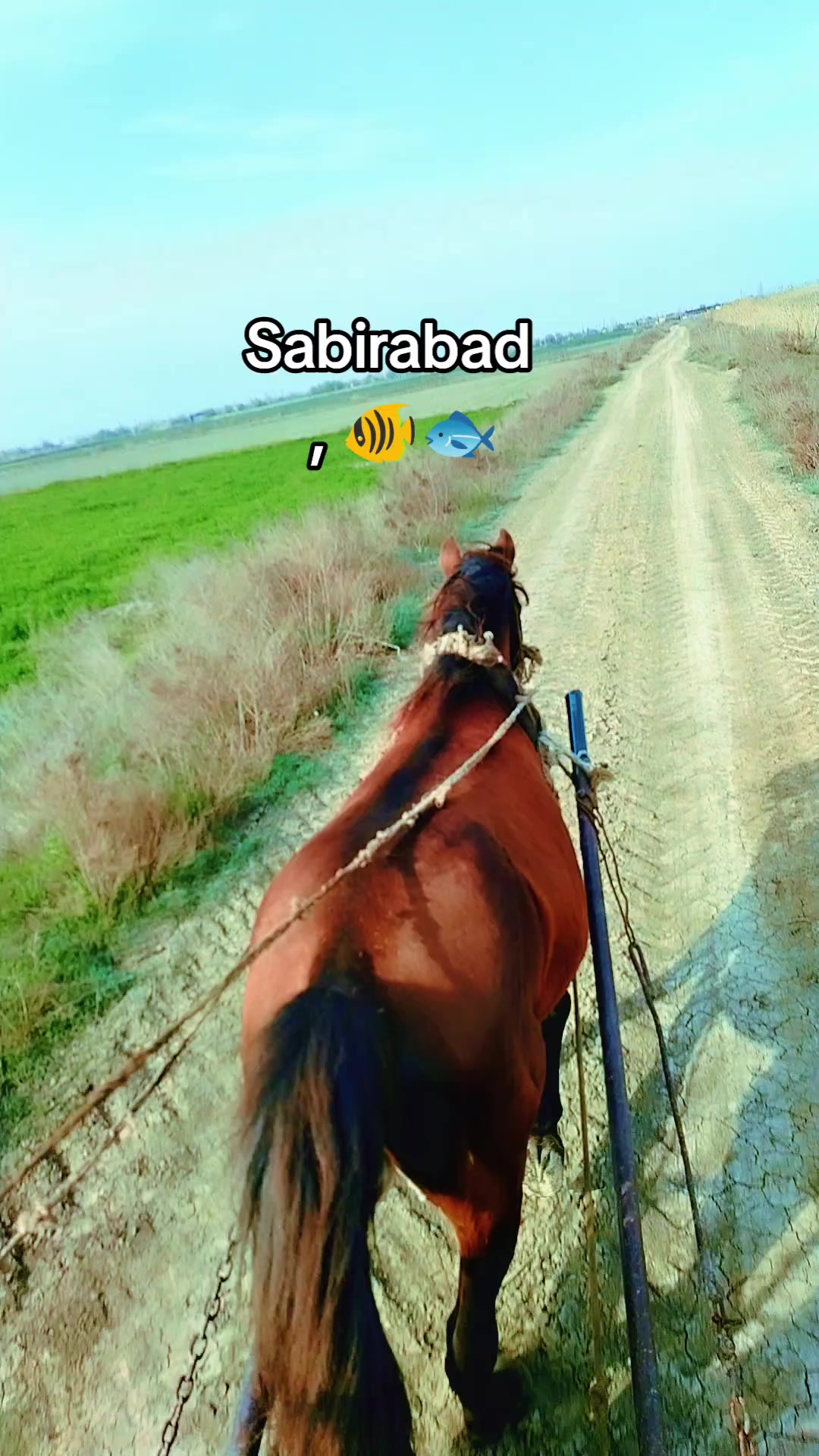 @Rahim Rahiboğlu🇦🇿✊