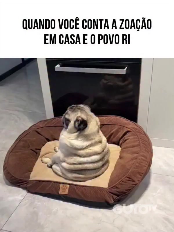 @Happy Day Brasil