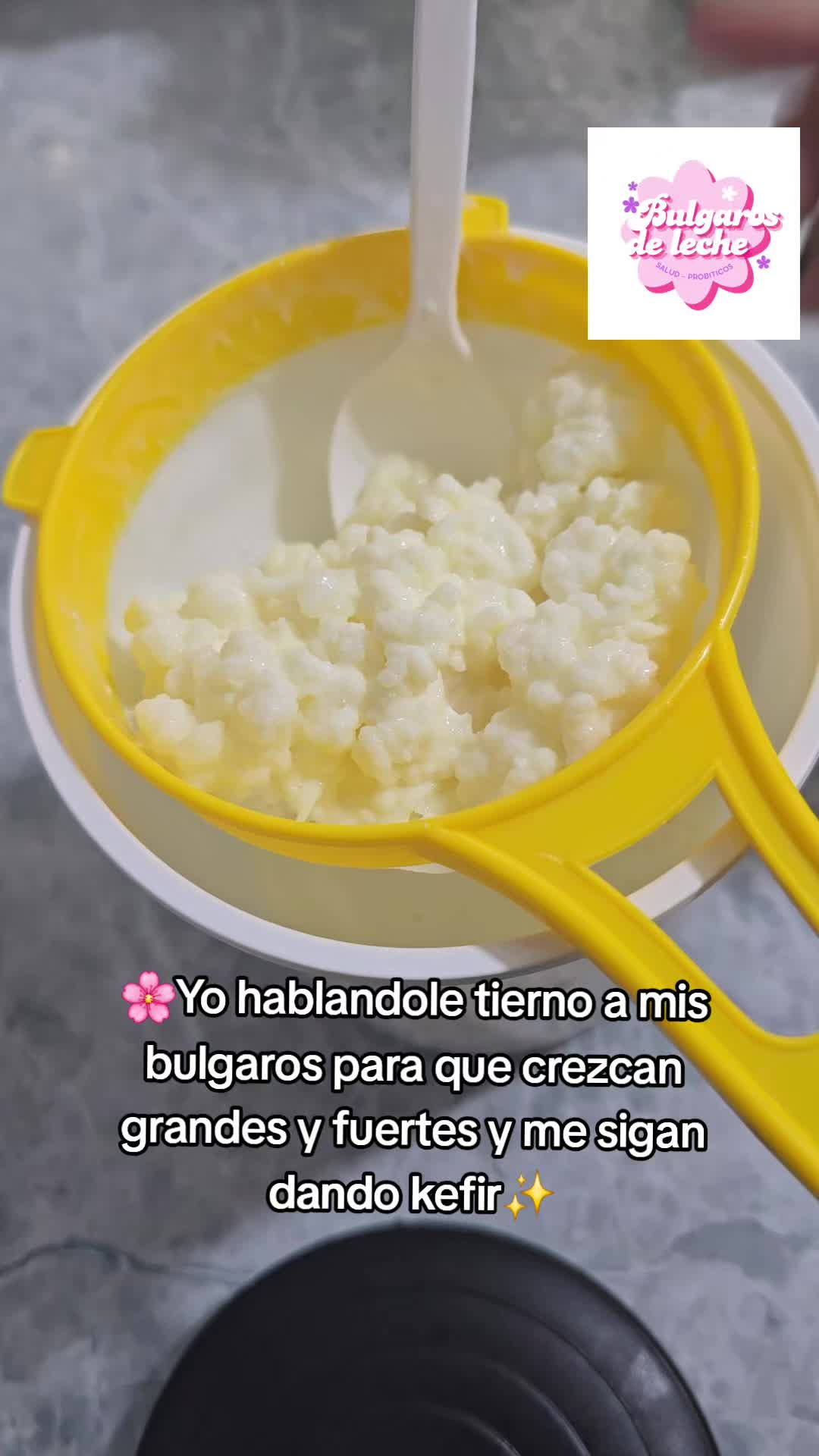 @Bulgaros de leche