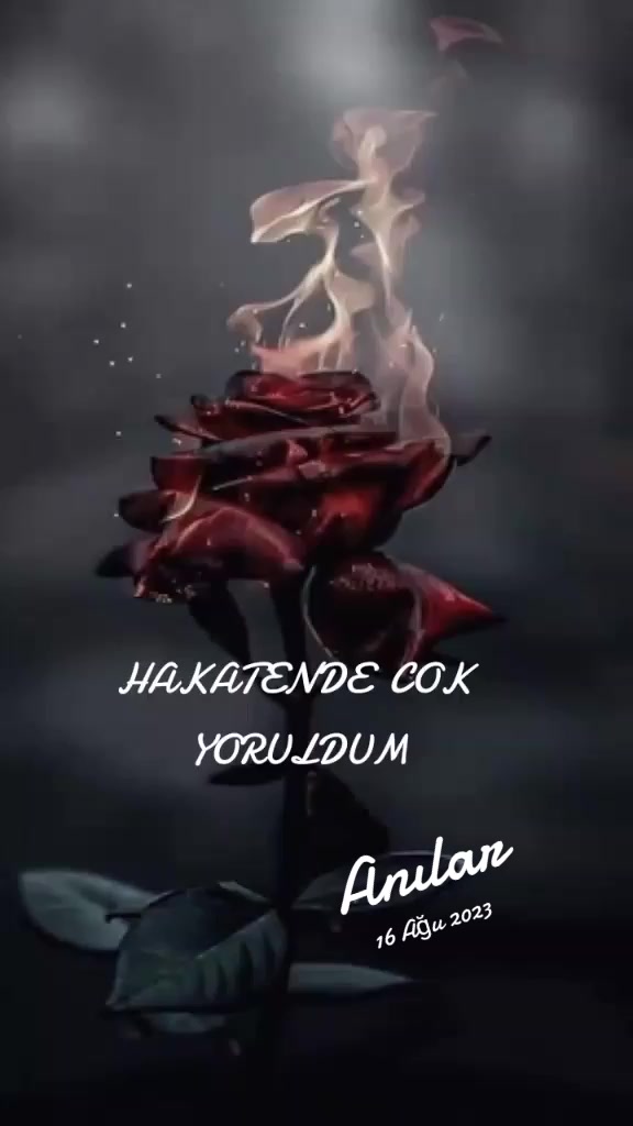 @🌹 &ouml;mr&uuml;m 🌹