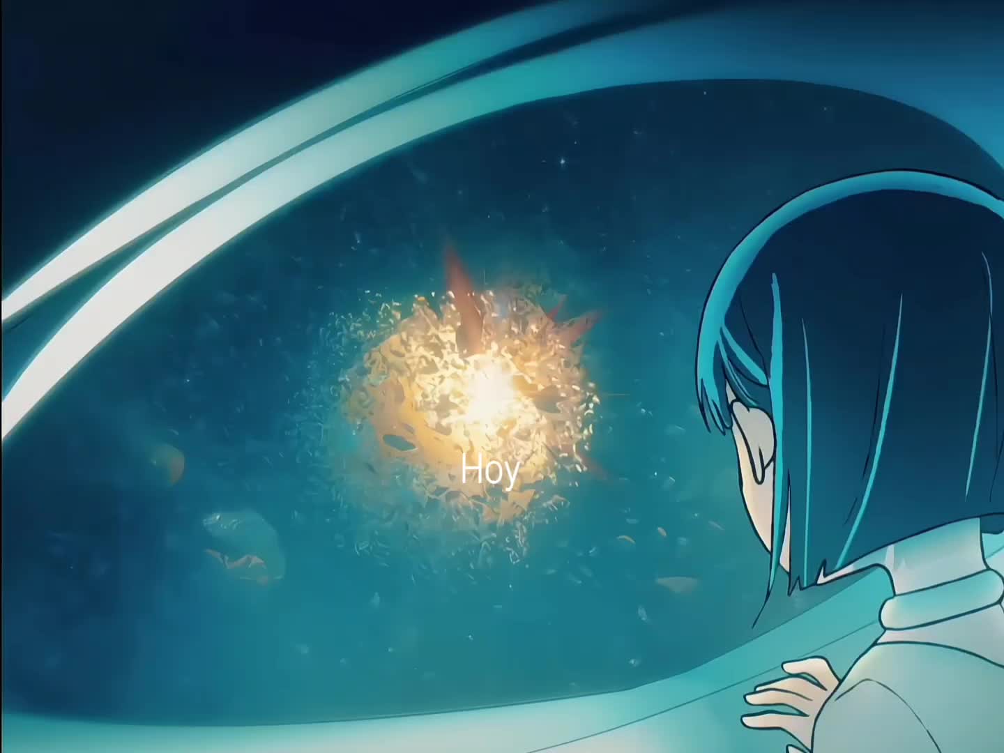 @Any🐬