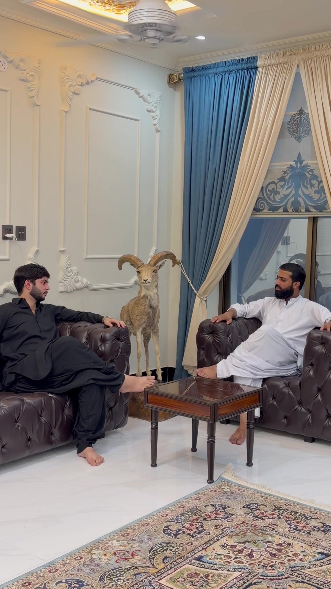 @PIR SAIF ALI SHAH JILLANI