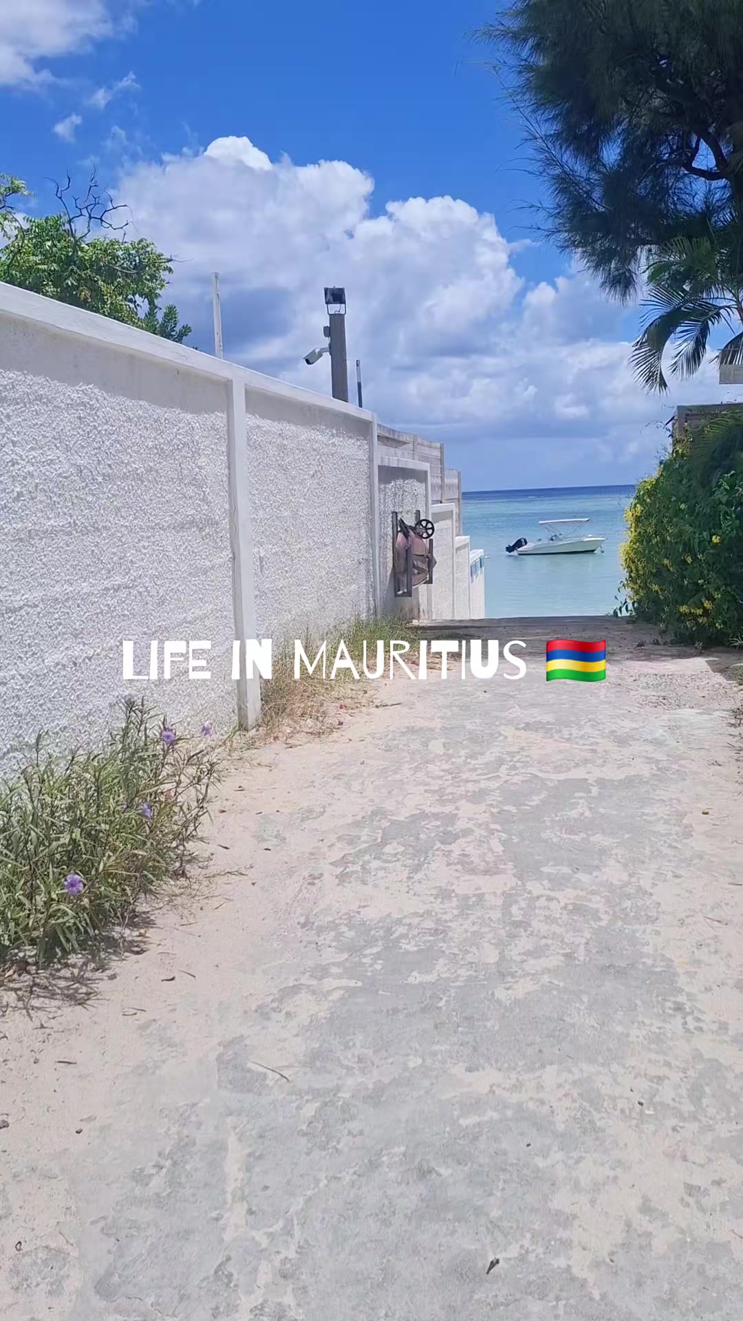 @Musings of an Island Girl