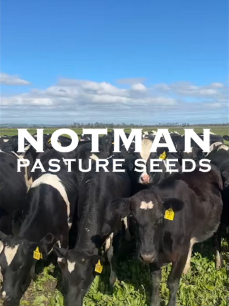 @notmanpasture