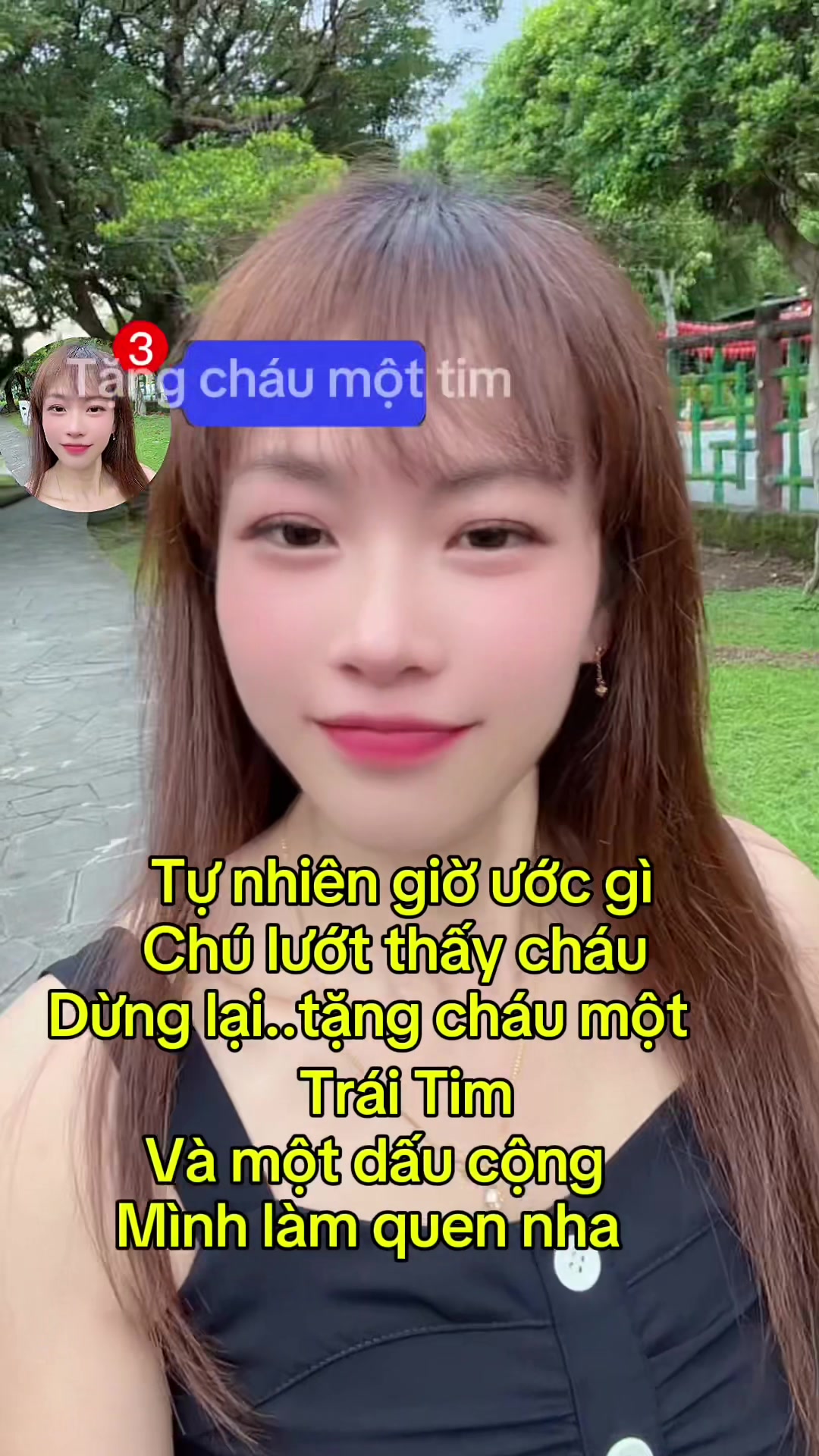 @KIẾN LỬA (螞蟻 )