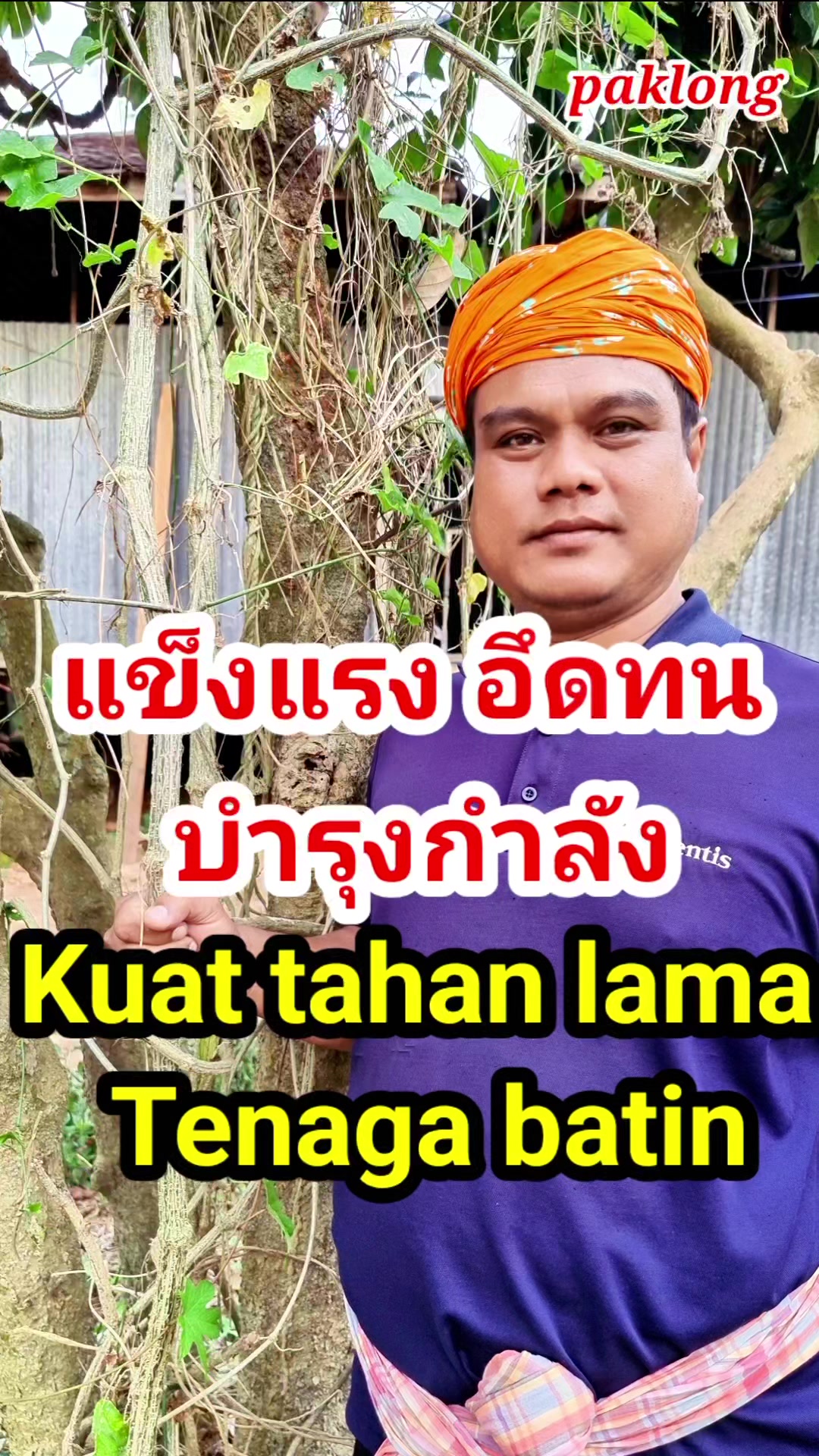 @Paklong Herb