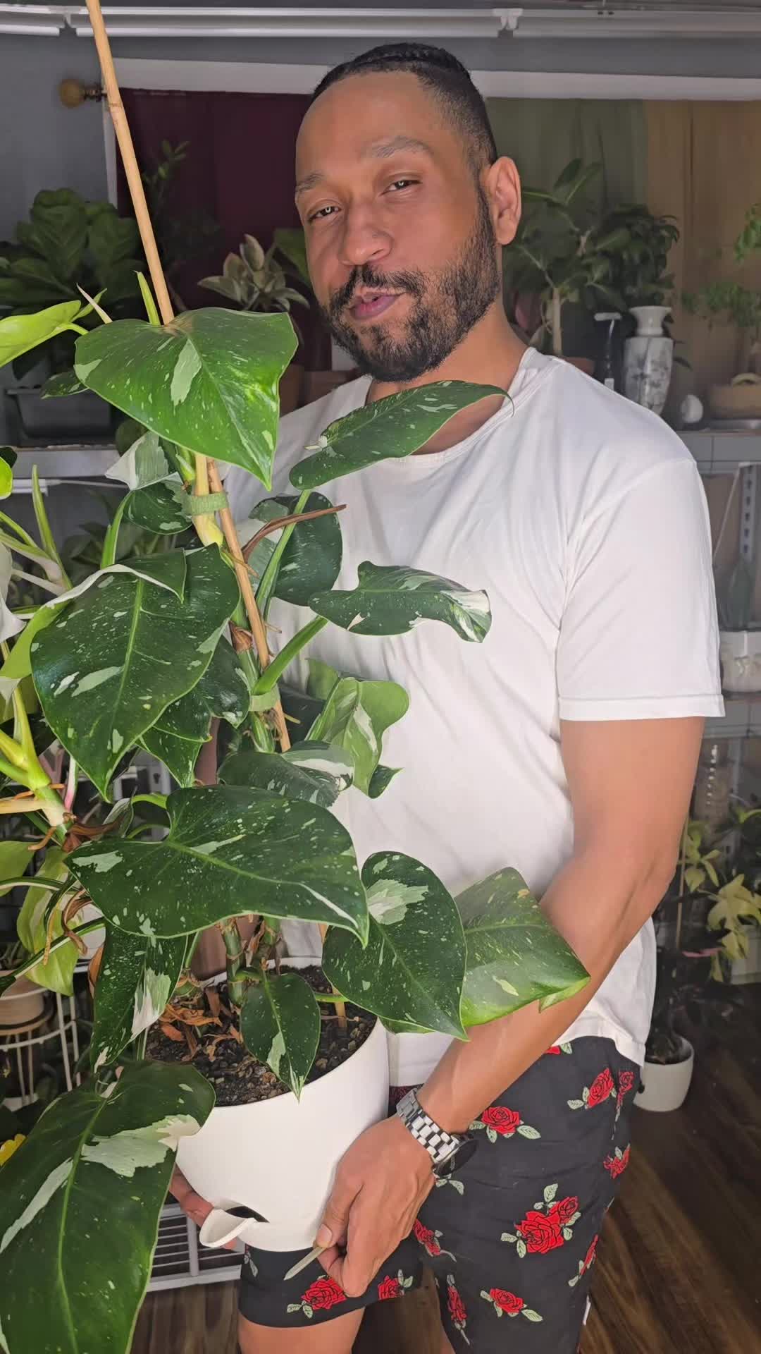 @JT - BigEGOPlants
