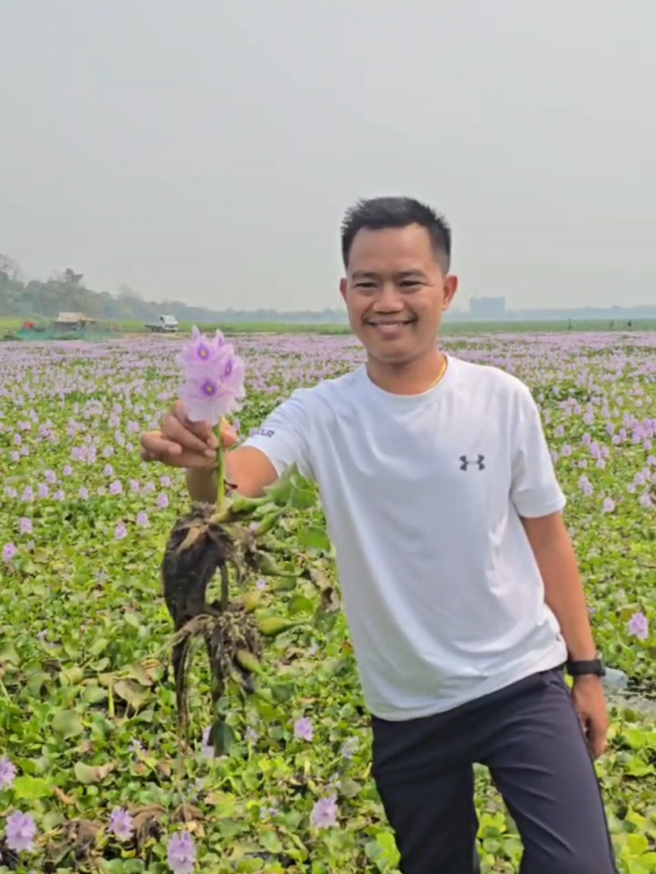 @ကိုကြီး(ပရဟိတ)မန္တလေး