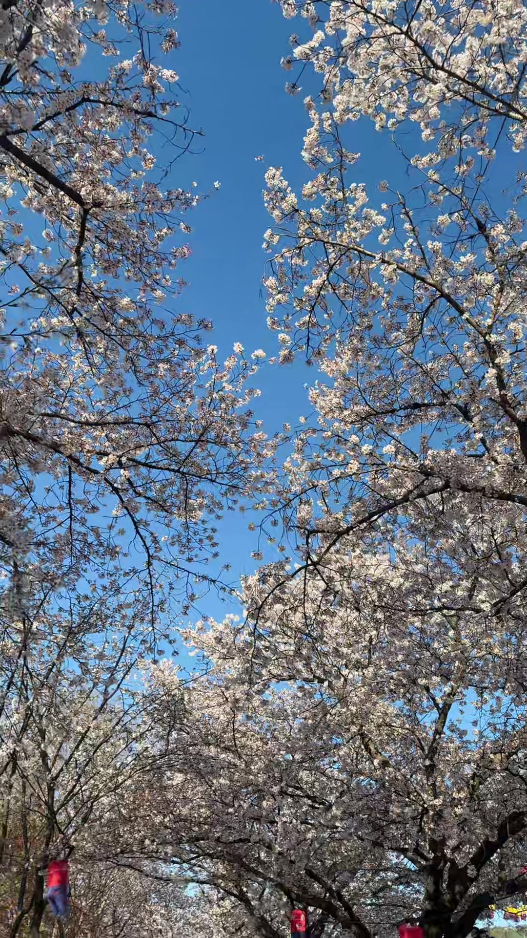 @ghaledd7ЁЯШО