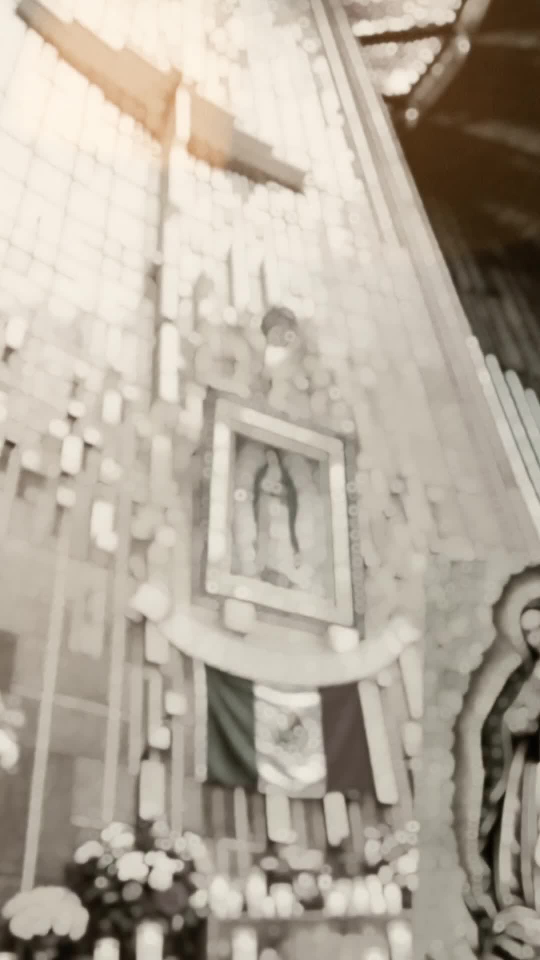 @michoacanomontoy6