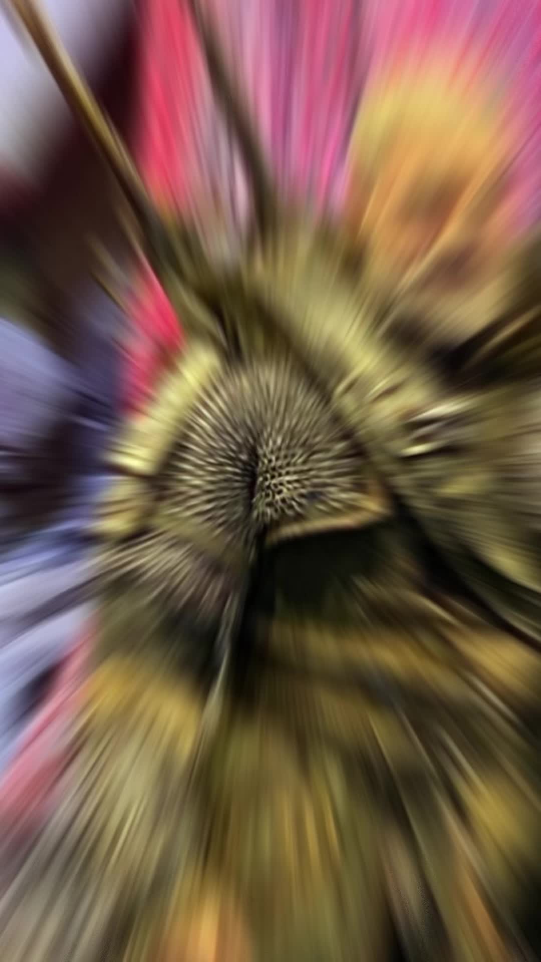 @MHG