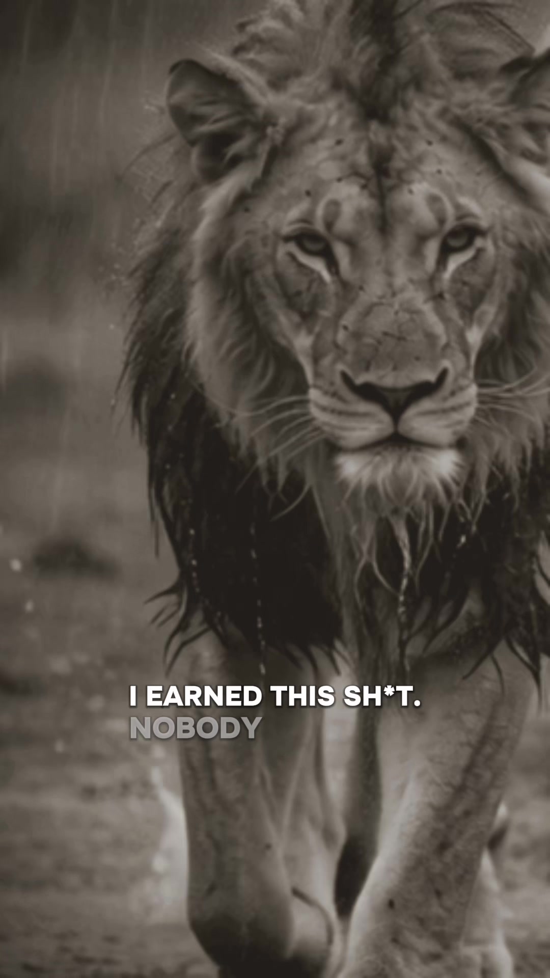 @Lion@Mind