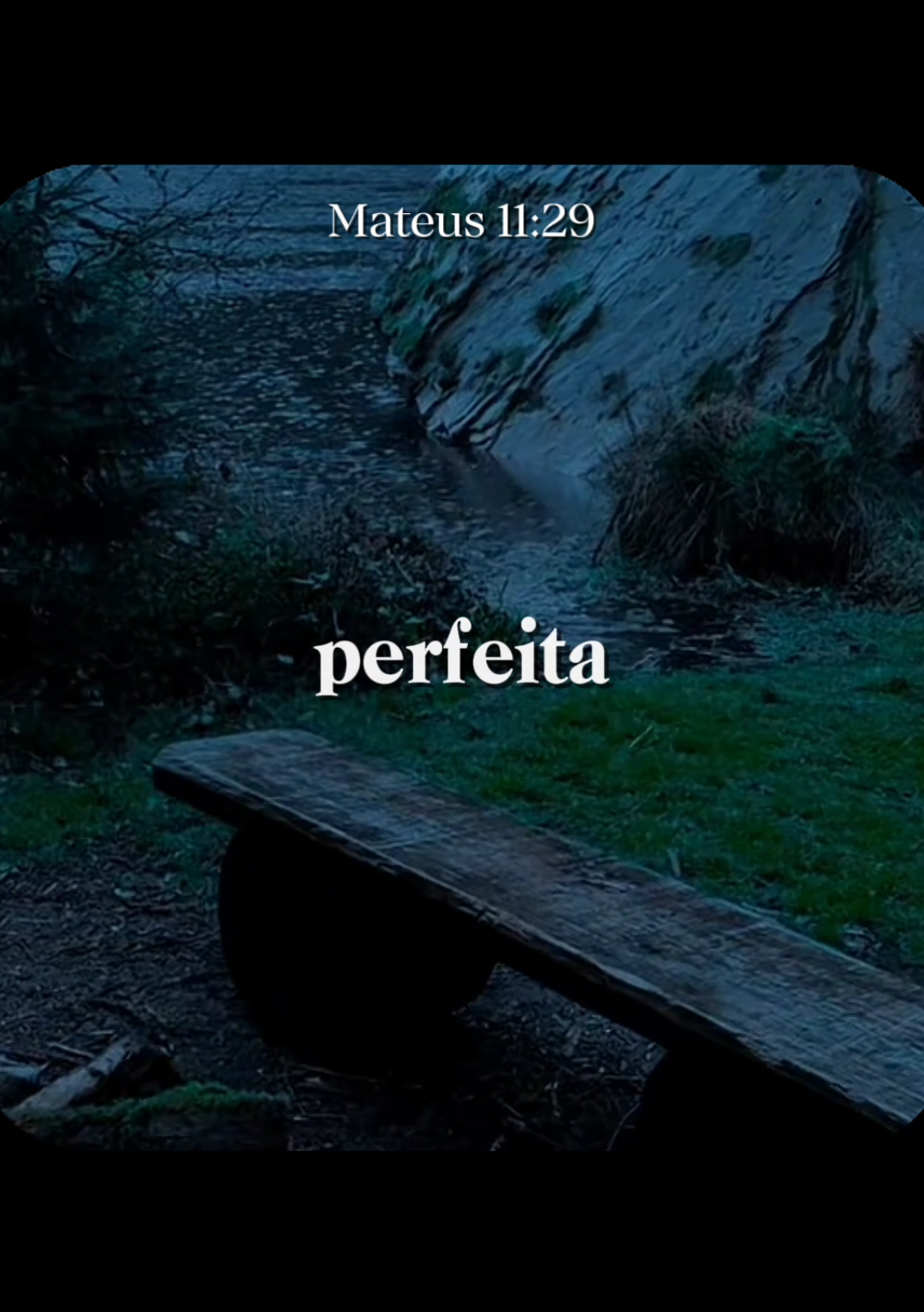 @Servo de Deus ✝️