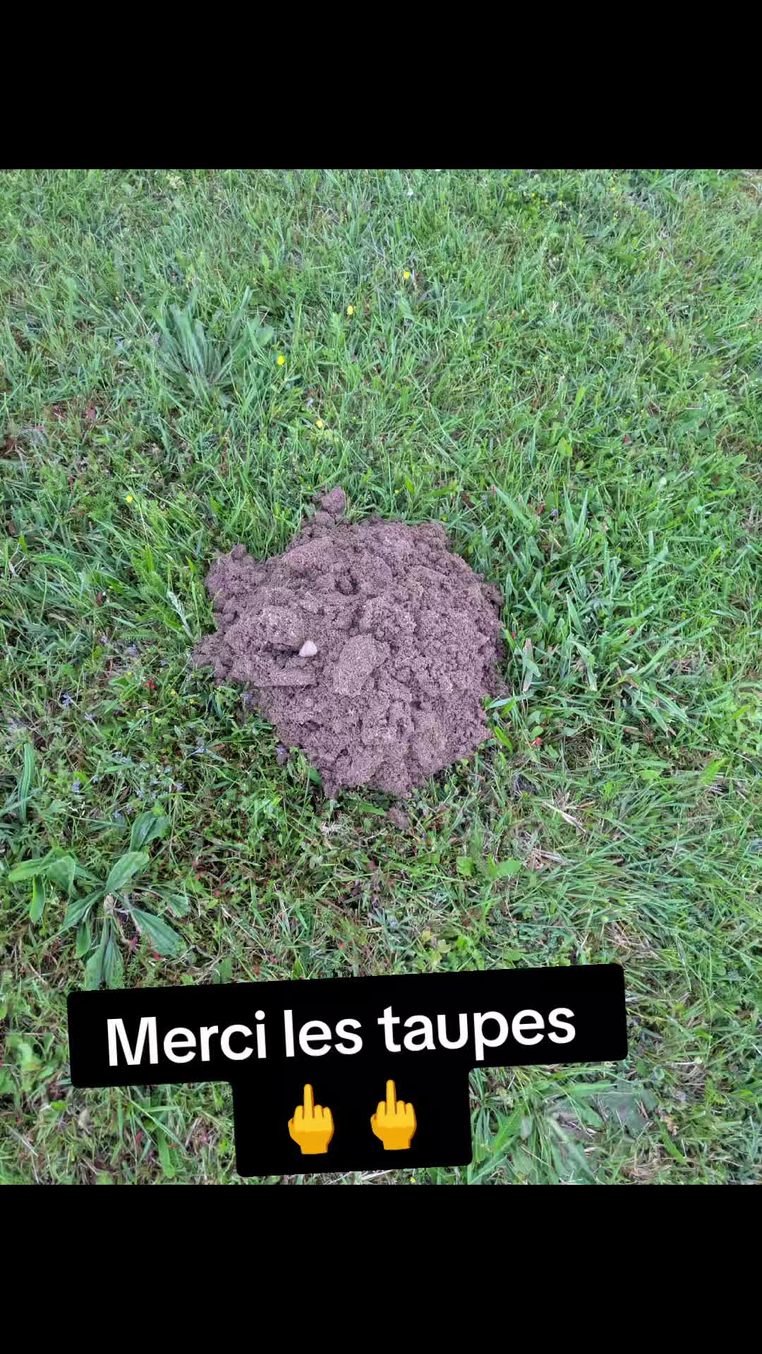 @Magali Carlier