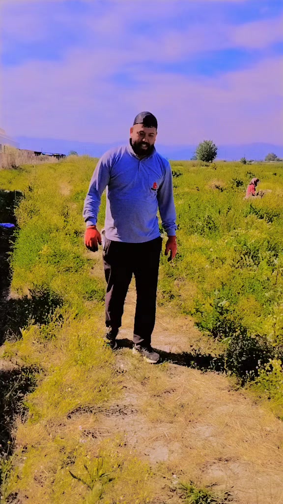 @&Ouml;ZSOY