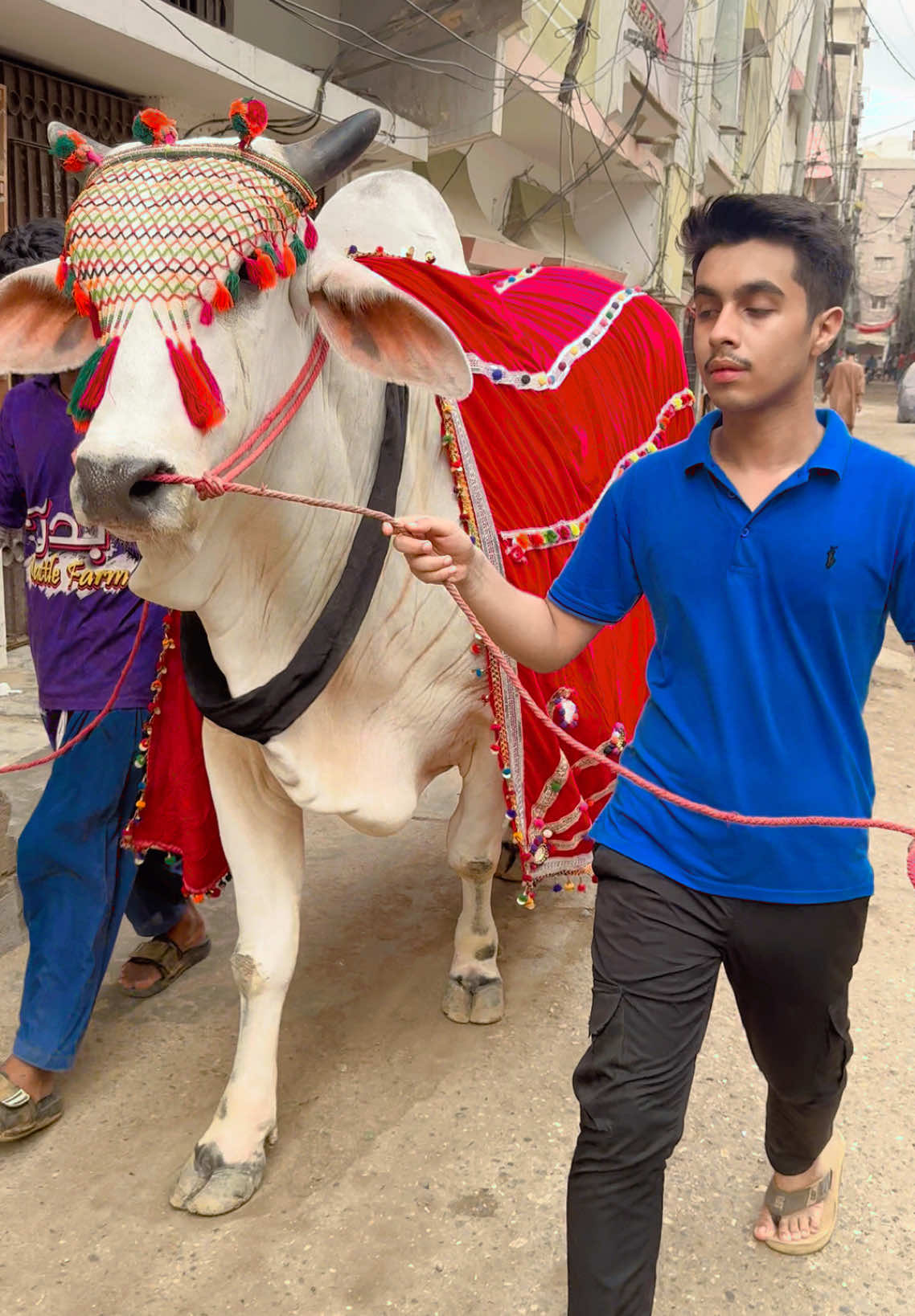 @Karachi Bull lovers