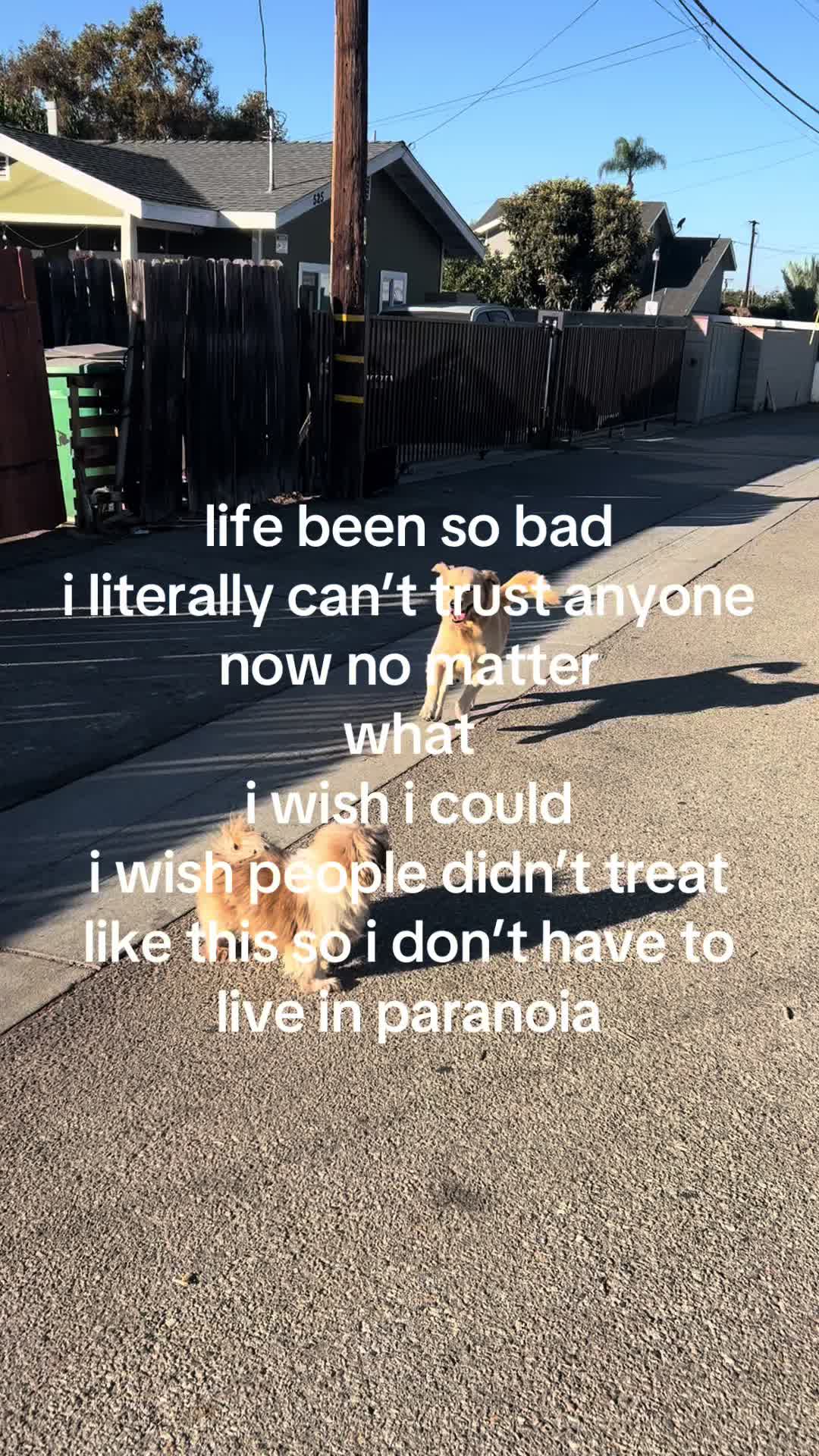 @peterbot-alt