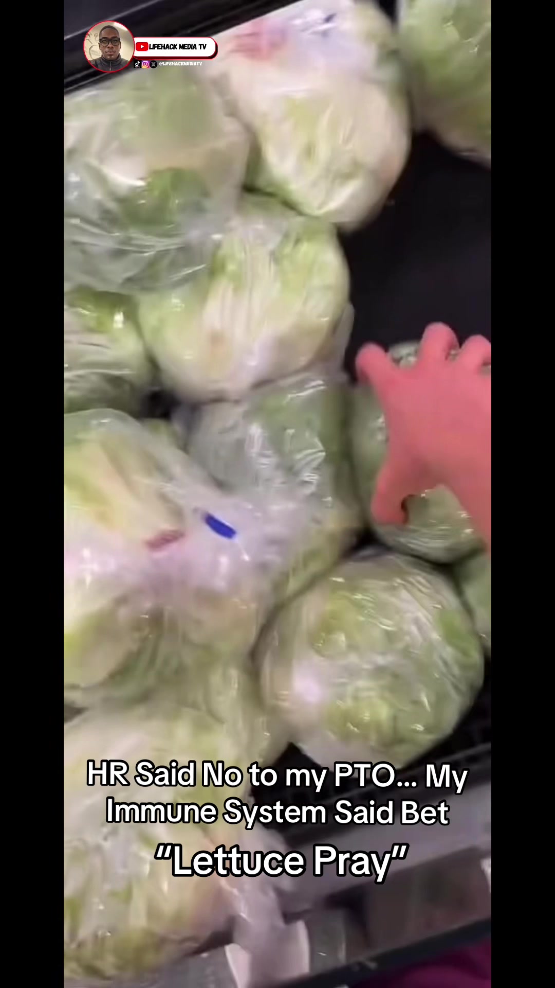 @LifeHack MediaTV