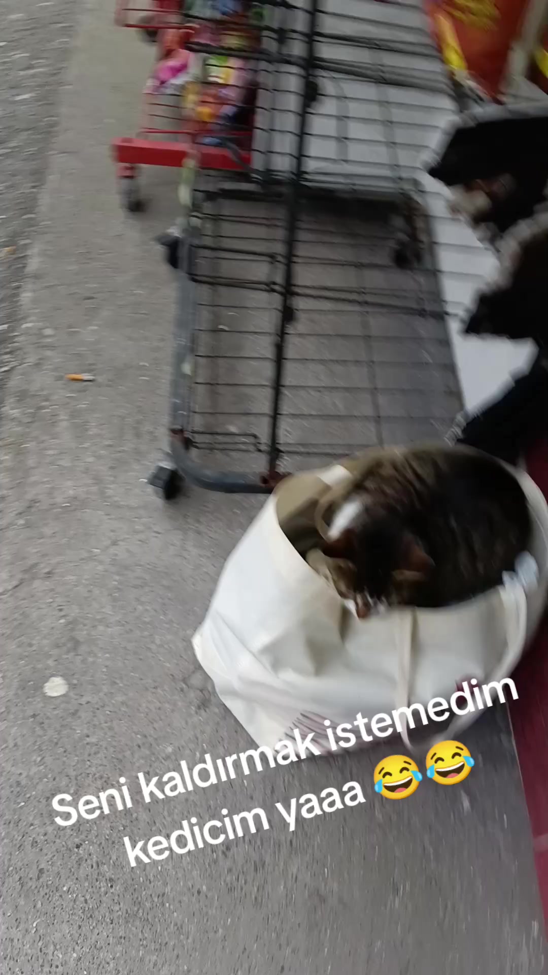 @Ertan Şahin
