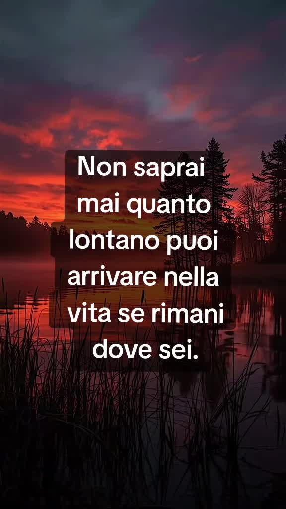@💫FRASI&CITAZIONI💫