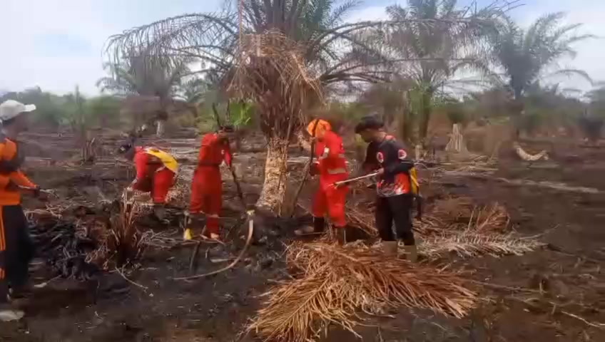 @kadir nyoe