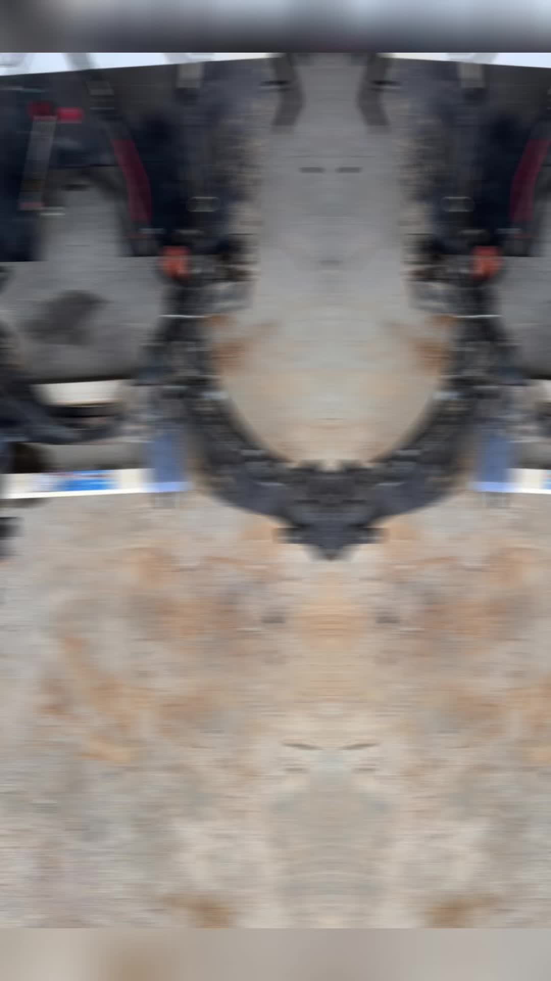 @Statement!RaceCars