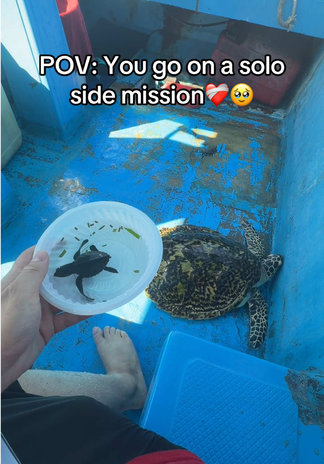 @Shlatfish