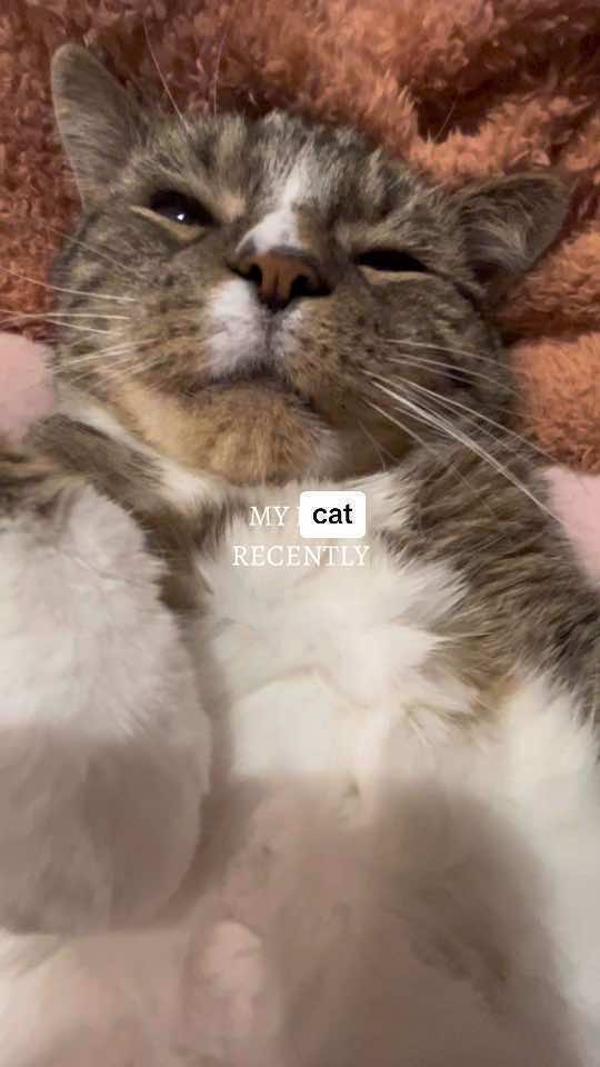 @mk