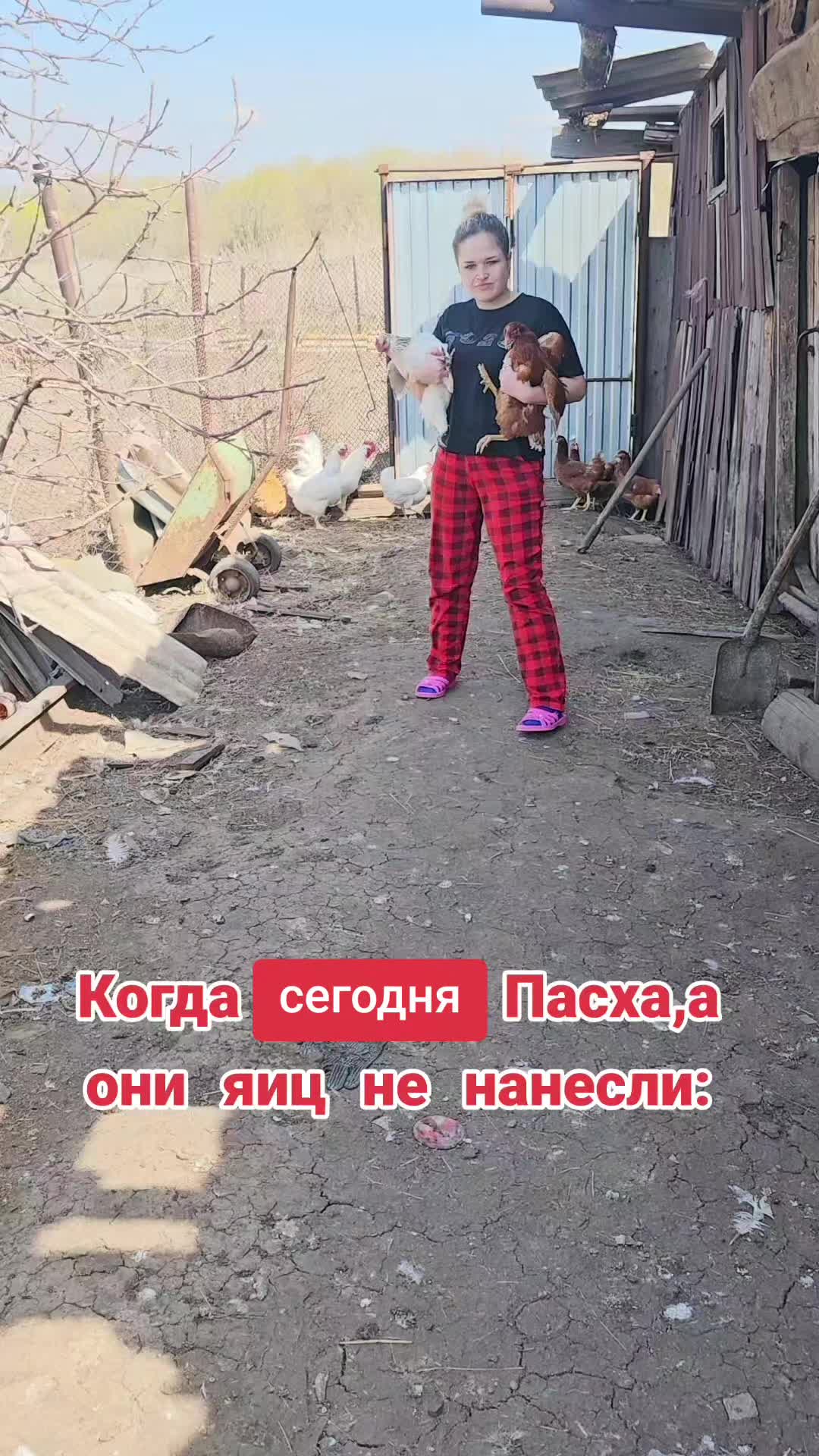 @🦂💚Zelenoglazzzka💚🦂