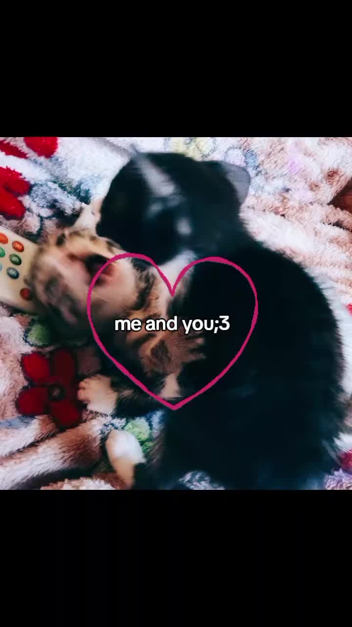 @кощик😛