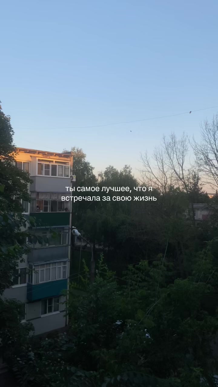 @polyashaw