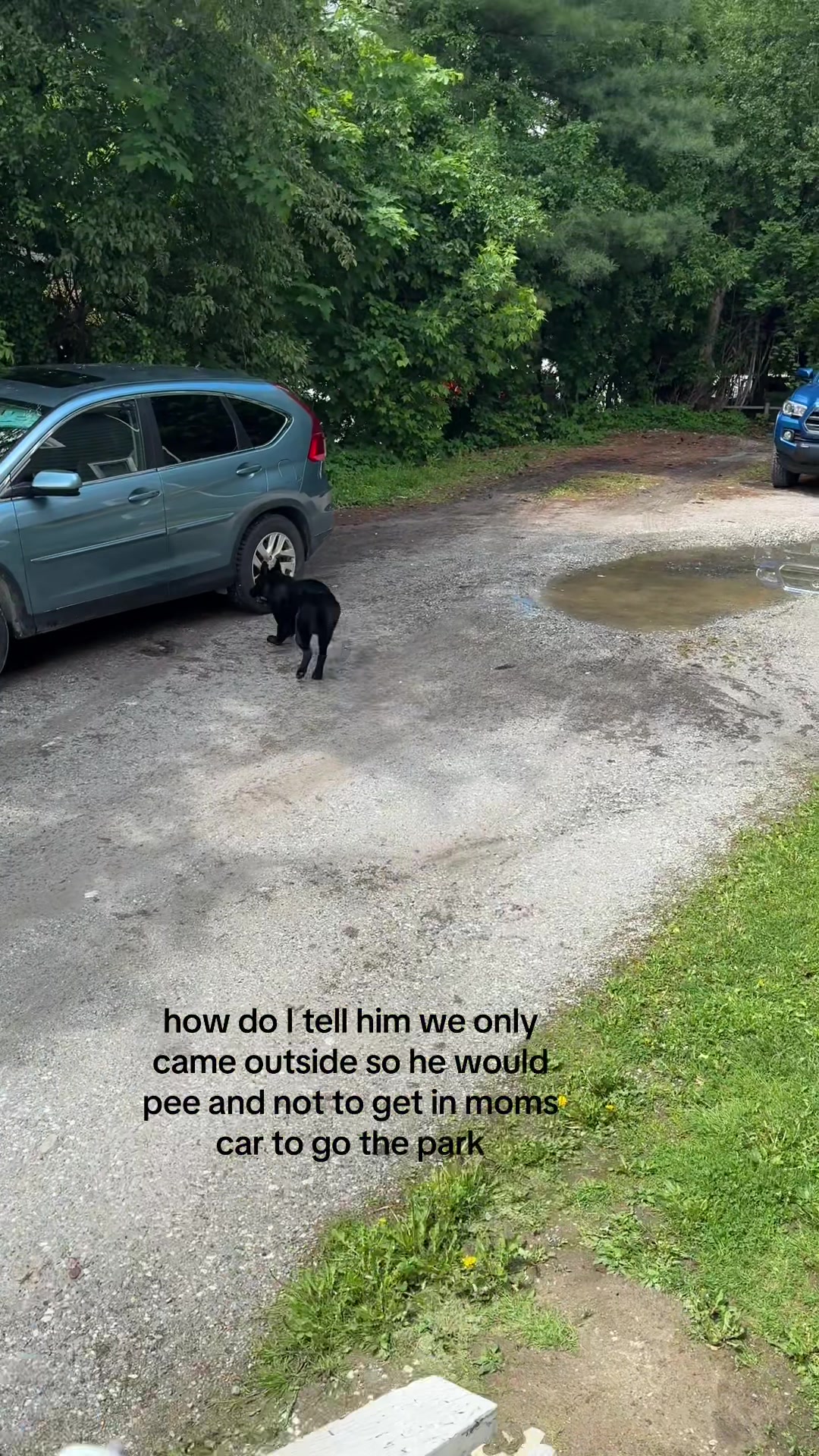 @Cymbre Gravelle