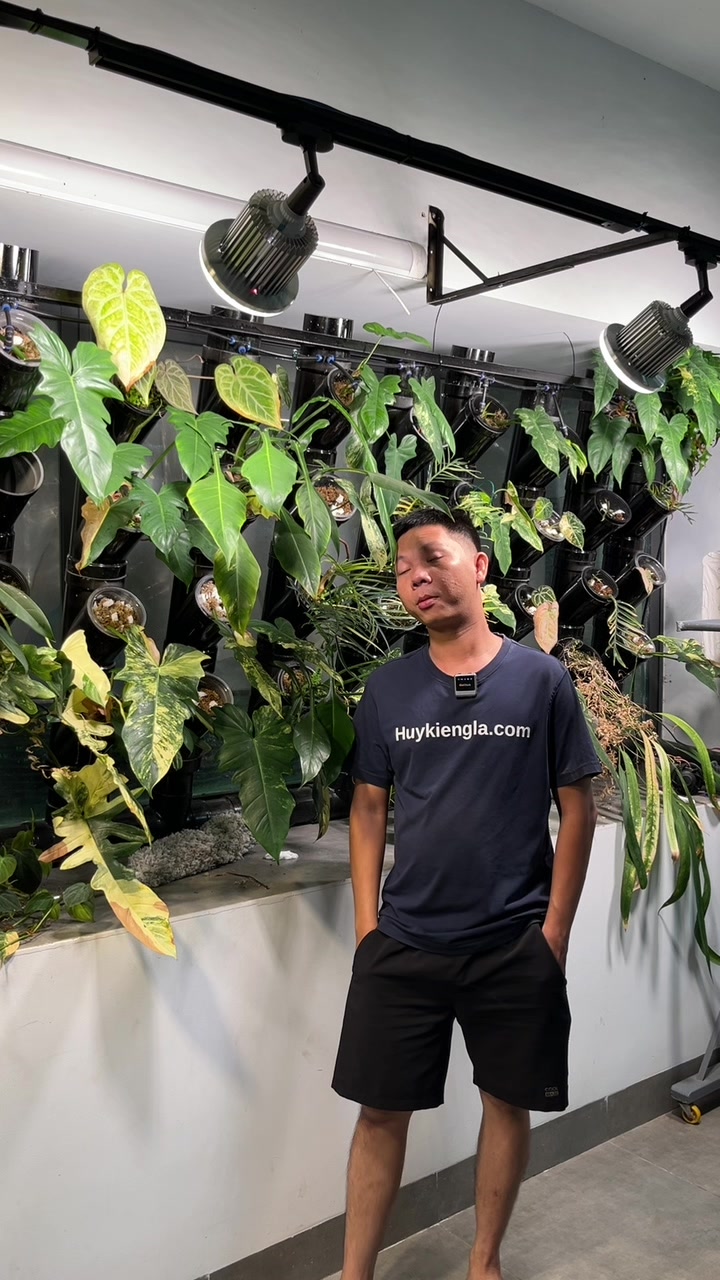 @Huy Kiểng L&aacute;