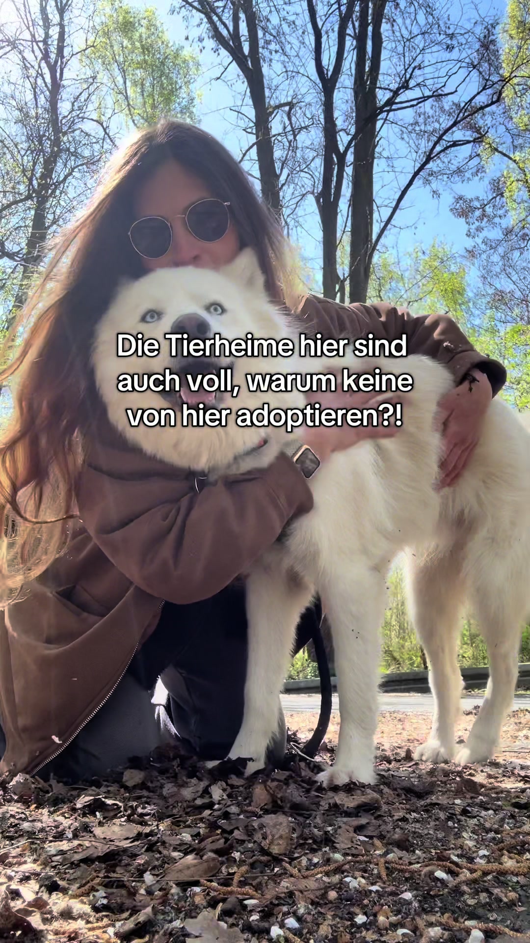 @sophie