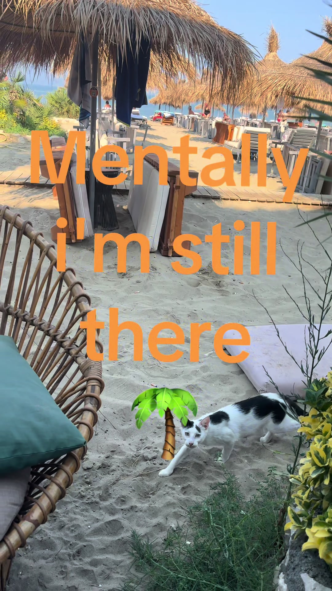 @deutschmitherz21