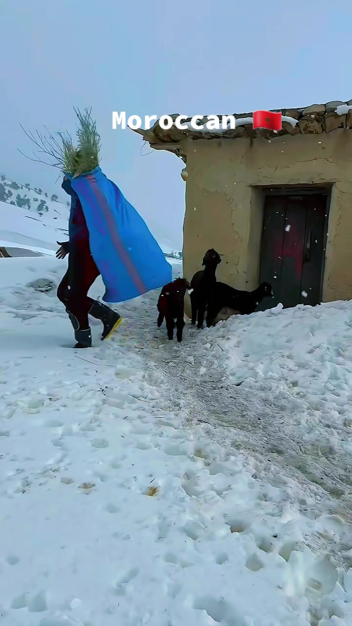 @wolfmonir