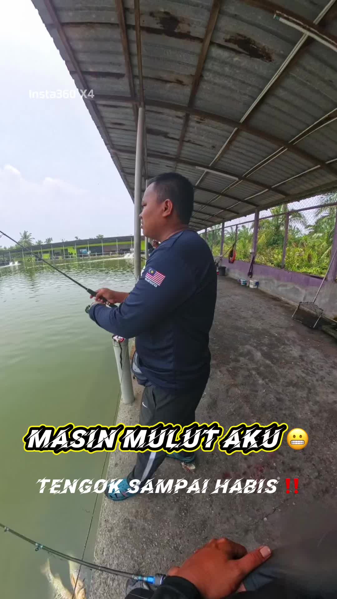 @M Z Reel 🎣